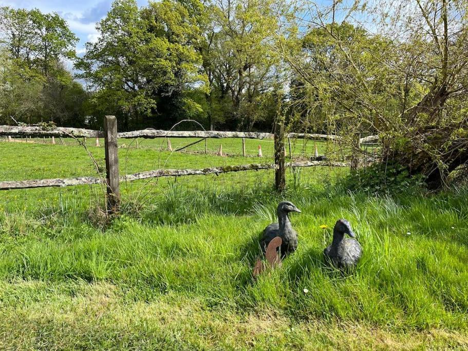 Апартаменты The Stable, Grove End Farm Петвёт Экстерьер фото